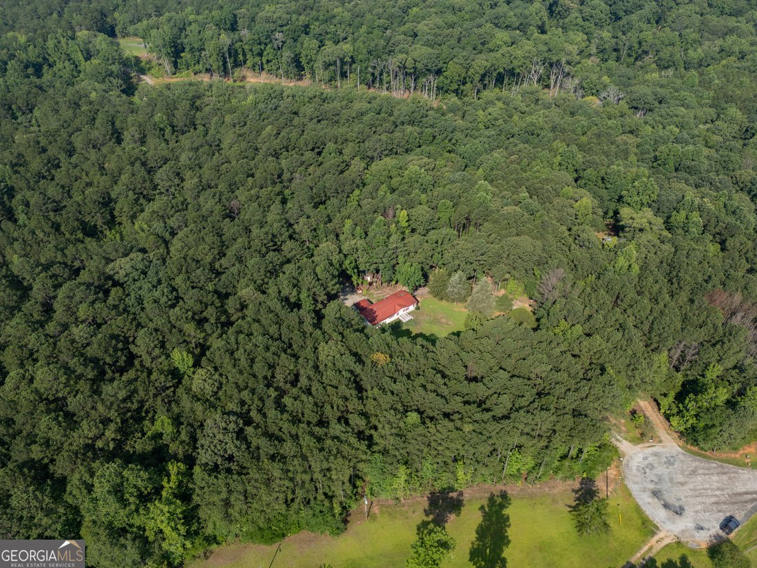 Forsyth, Georgia, United States 2 - 16245206