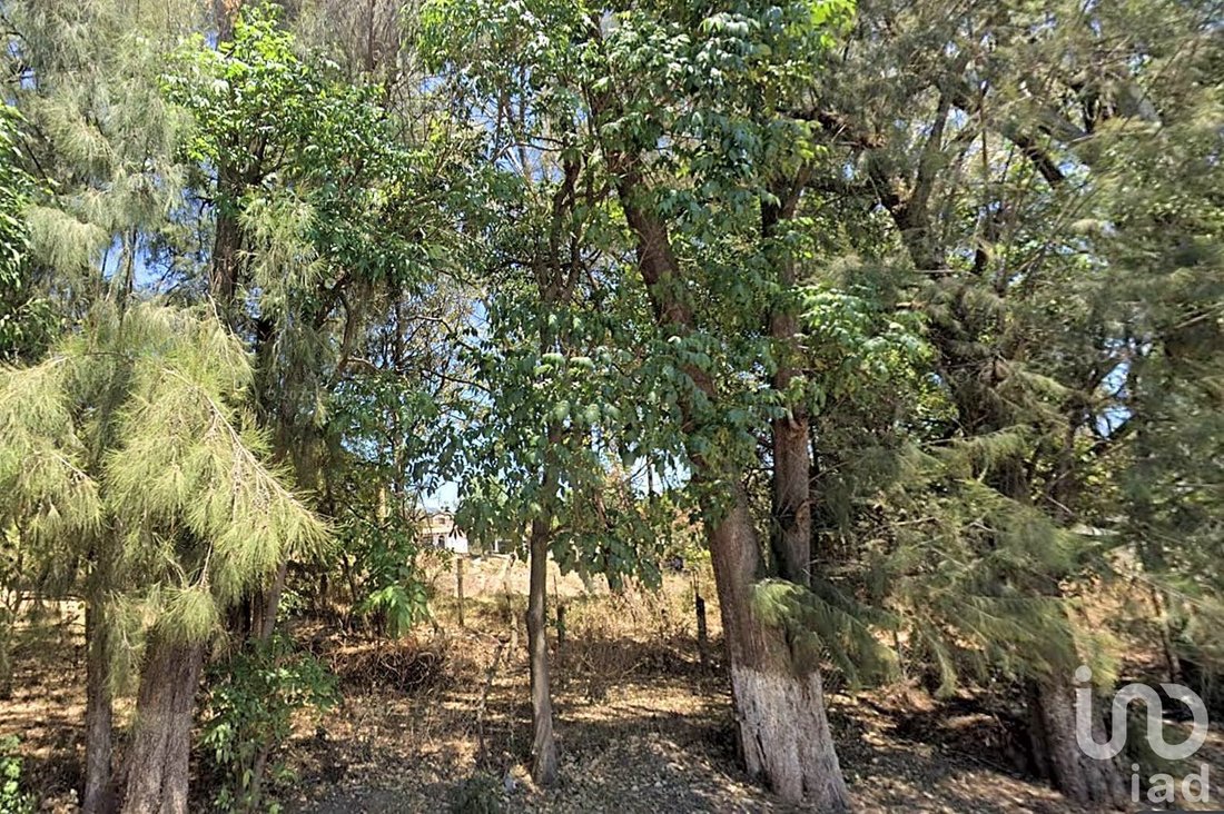 Land in Valle de Bravo, State of Mexico, Mexico 2 - 16474552
