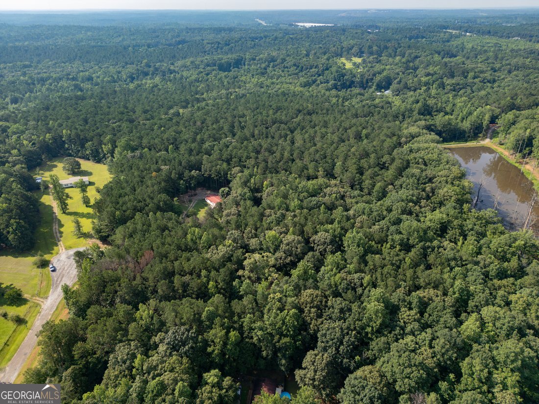 Forsyth, Georgia, United States 3 - 16245206