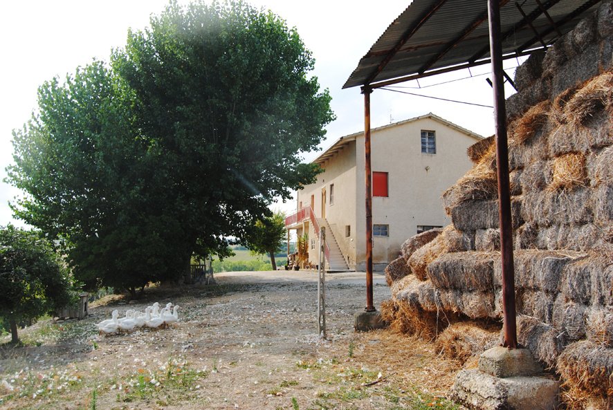 Country House in Spaccio Bagnolo, Marche, Italy 2 - 16476205