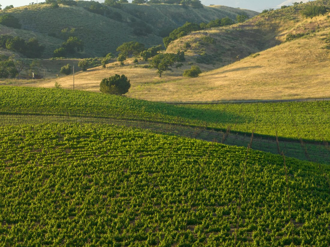 Land in Santa Ynez, California, United States 2 - 16476372