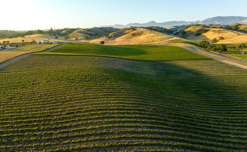Terreno a Santa Ynez, California, Stati Uniti 1