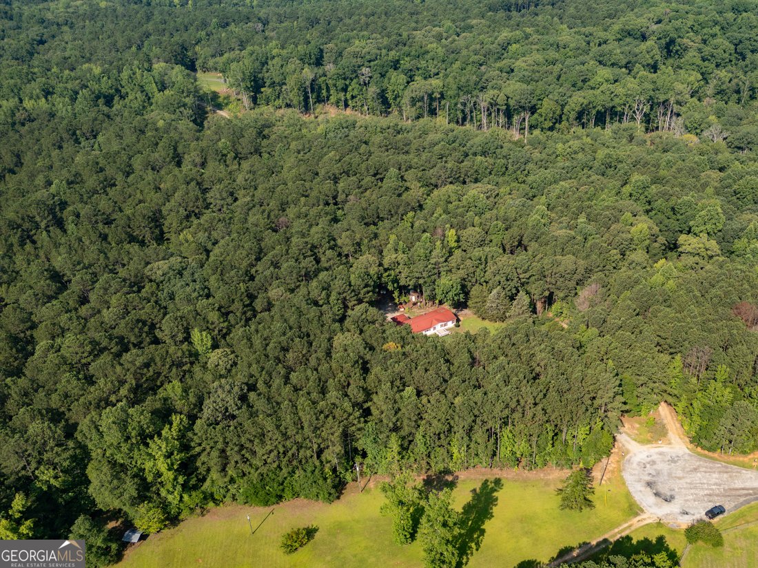 Forsyth, Georgia, United States 5 - 16245206