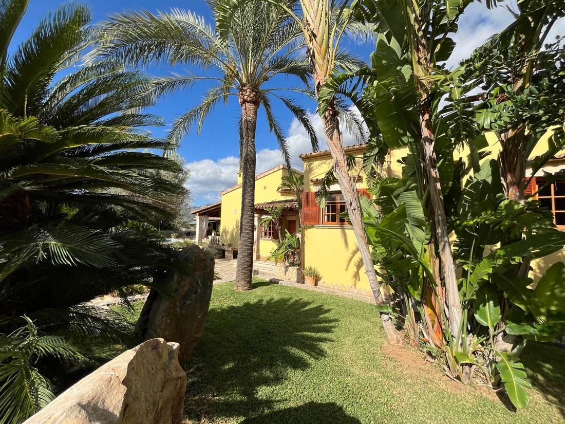 Finca in Inca, Balearic Islands, Spain 4 - 16476167