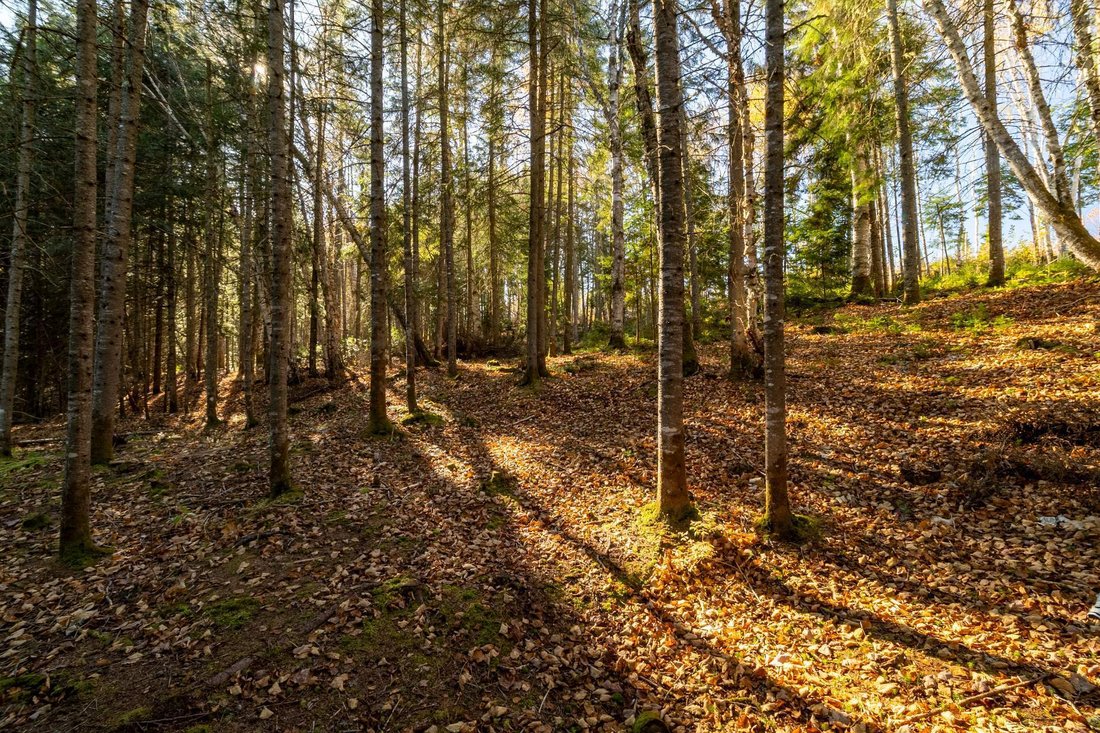 Land in Lac-Clef, Quebec, Canada 5 - 16476320