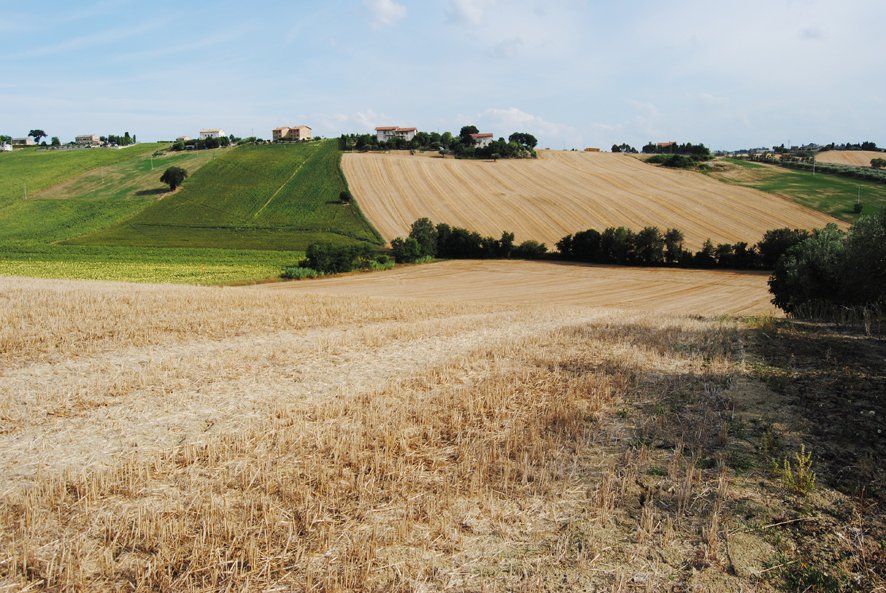 Country House in Spaccio Bagnolo, Marche, Italy 5 - 16476205