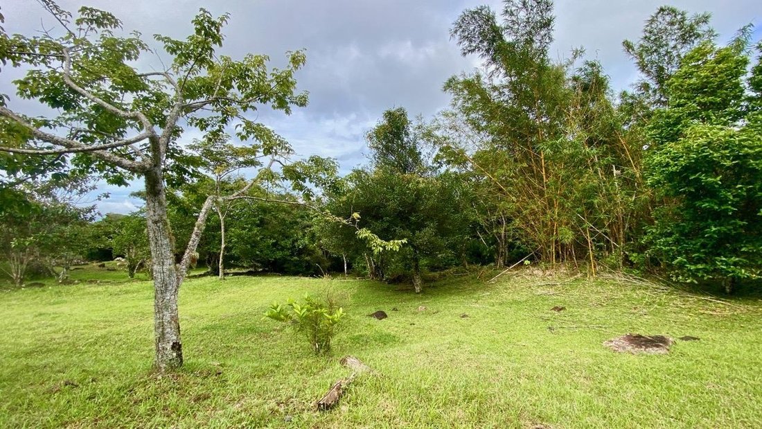Finca in Chicá, Provincia de Panamá Oeste, Panama 4 - 16477351
