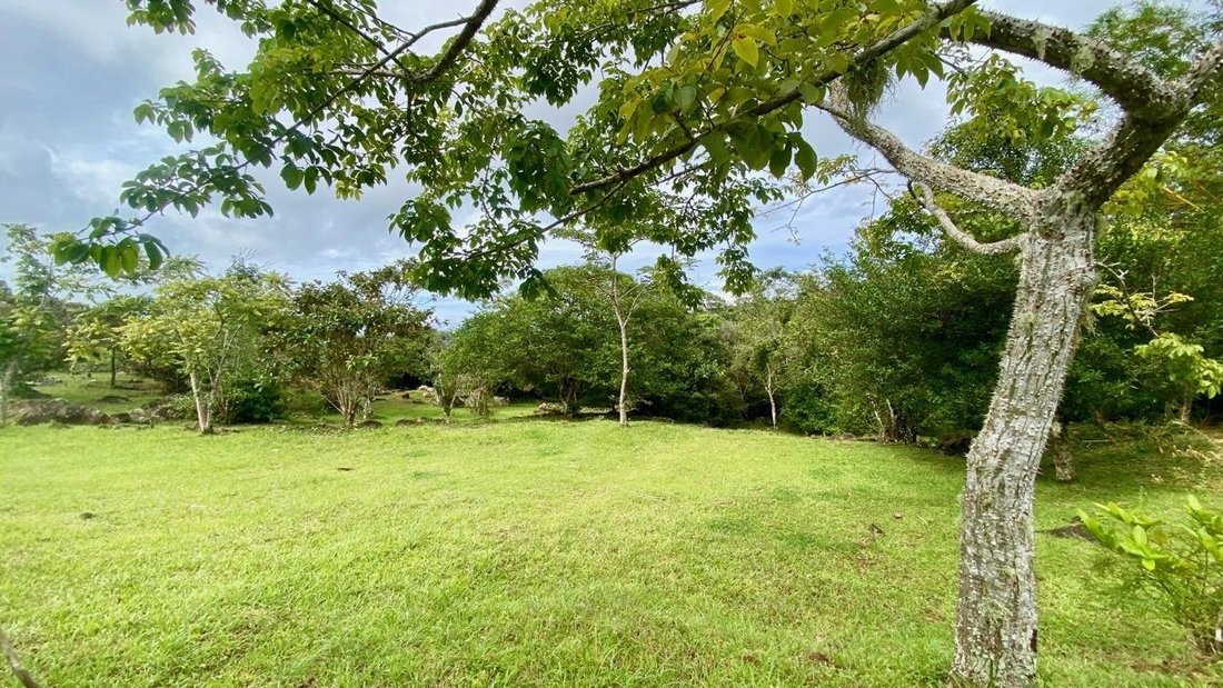 Finca in Chicá, Provincia de Panamá Oeste, Panama 5 - 16477351