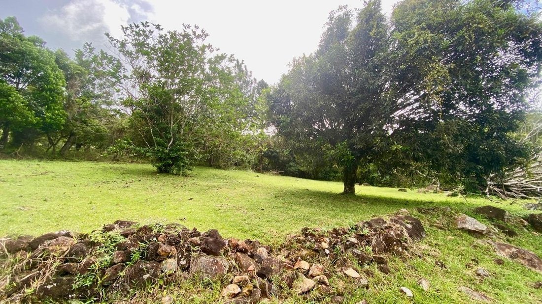 Finca in Chicá, Provincia de Panamá Oeste, Panama 3 - 16477351