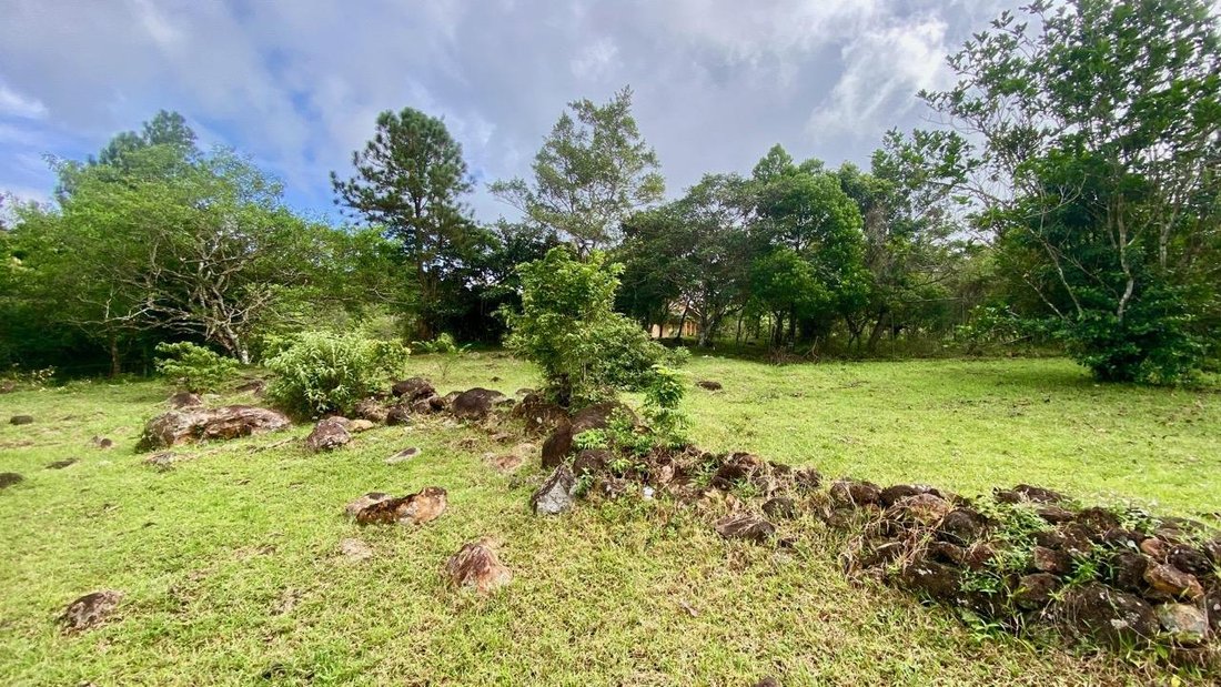 Finca in Chicá, Provincia de Panamá Oeste, Panama 2 - 16477351