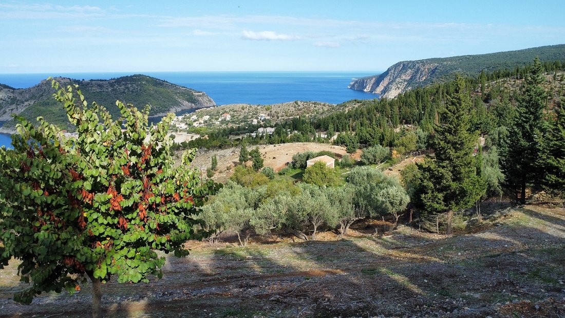 Terreno a Argostoli, Peloponnese, Western Greece and the Ionian, Grecia 4 - 13961994