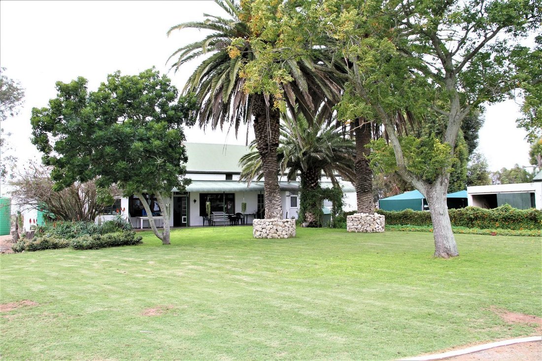 Farm Ranch in Hopefield, Western Cape, South Africa 4 - 16478647