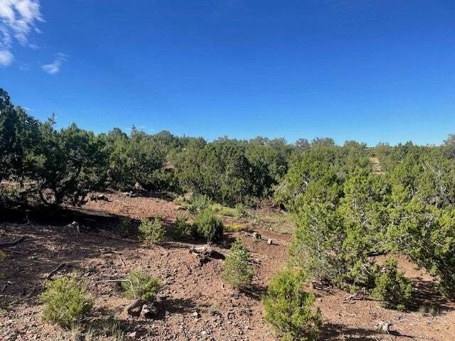 Land in Santa Fe, New Mexico, United States 5 - 16293224