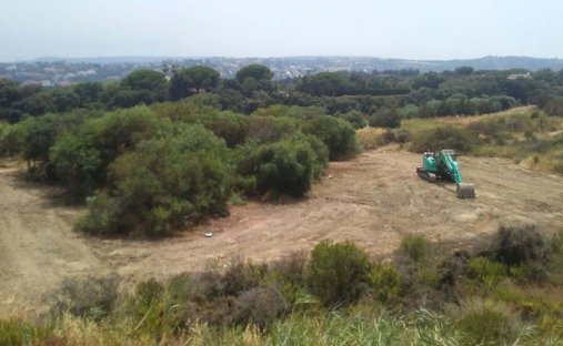 Land in Sotogrande, San Roque, Andalusien 1