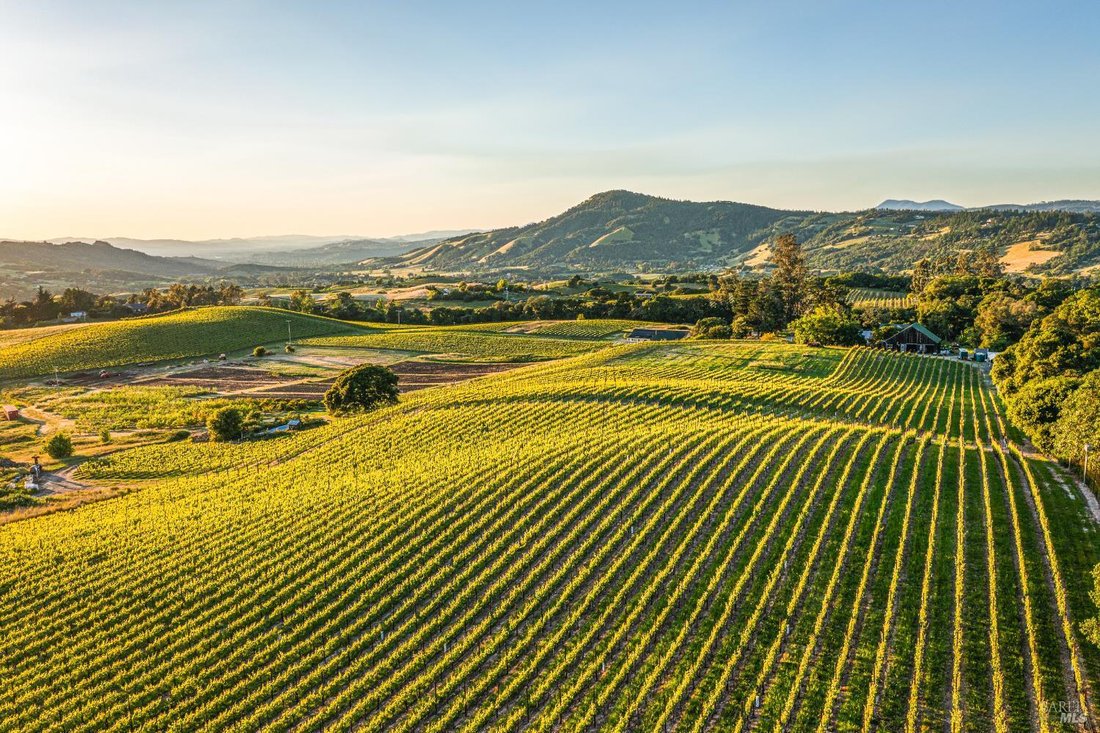 House in Santa Rosa, California, United States 5 - 16480727