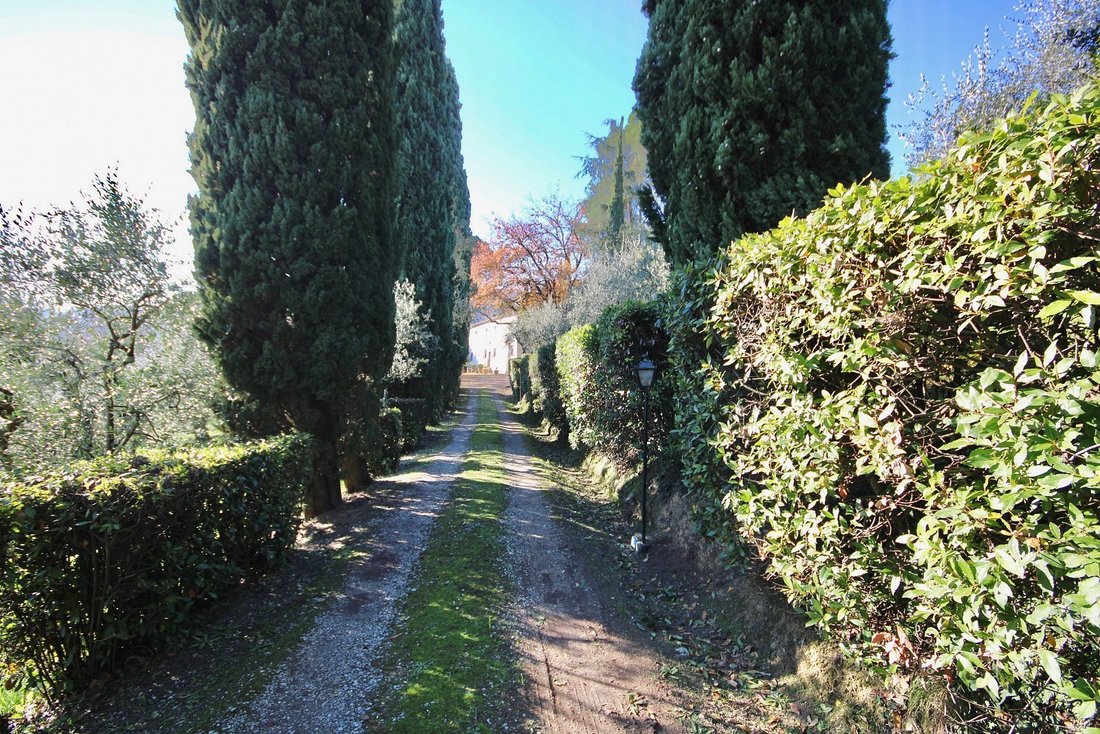 Landhaus in Serravalle Pistoiese, Toskana, Italien 4 - 16479100