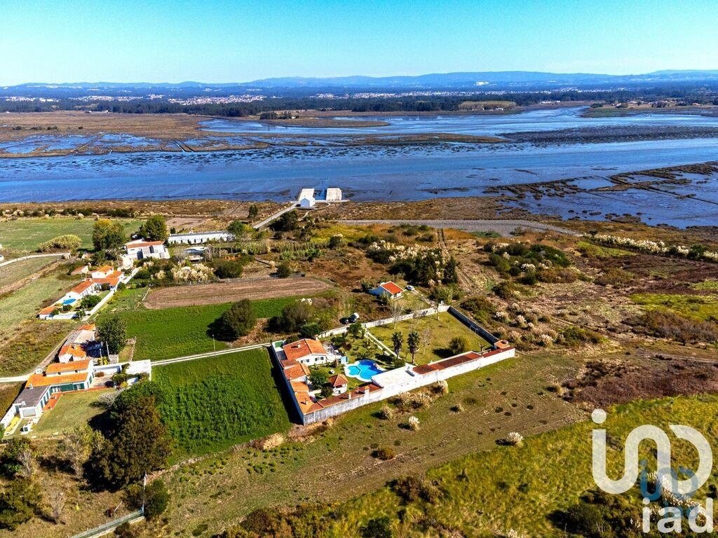 Farm Ranch in Ovar, Sao Joao, Arada e Sao Vicente de Pereira Jusa, Aveiro District, Portugal 2 - 16485101