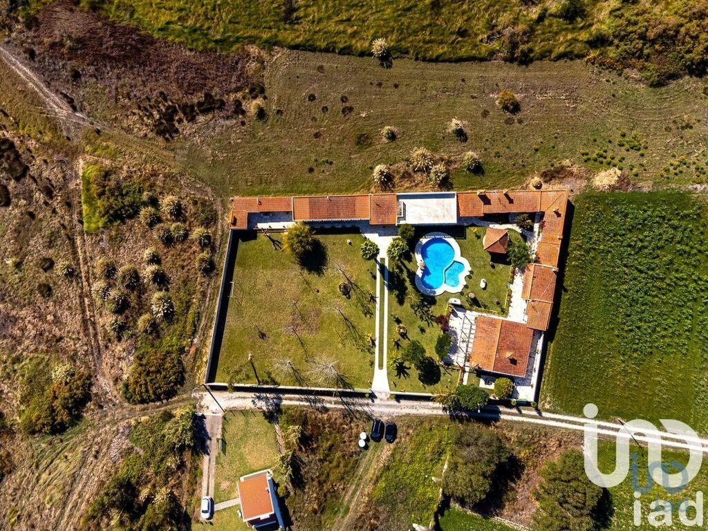 Farm Ranch in Ovar, Sao Joao, Arada e Sao Vicente de Pereira Jusa, Aveiro District, Portugal 5 - 16485101
