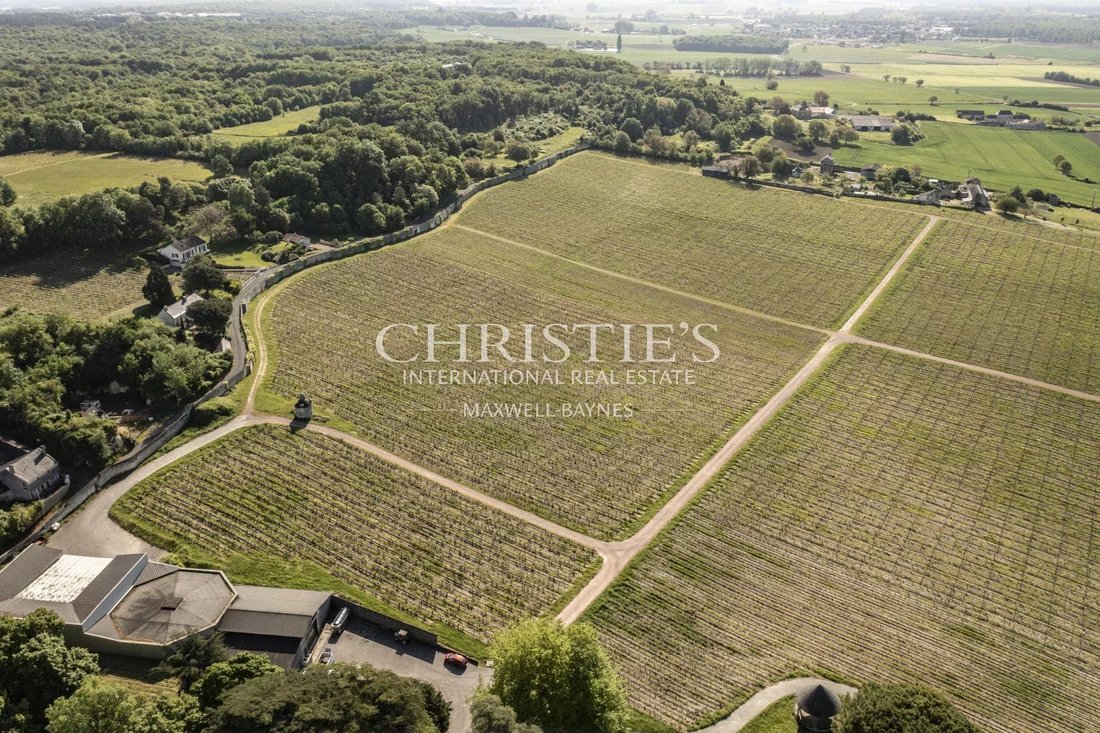 Farm Ranch in Centre Ville - Fenet - Petit Puy, Saumur, France 3 - 16479233