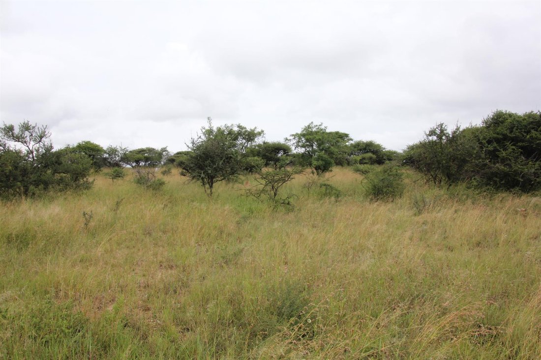 Land in Polokwane Ext 46, Limpopo, South Africa 4 - 16481009
