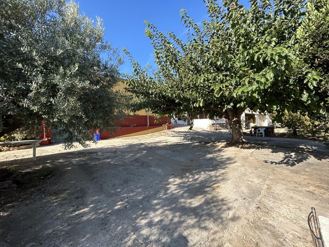 Villa in Alcanar, Catalonia, Spain 4 - 16481081