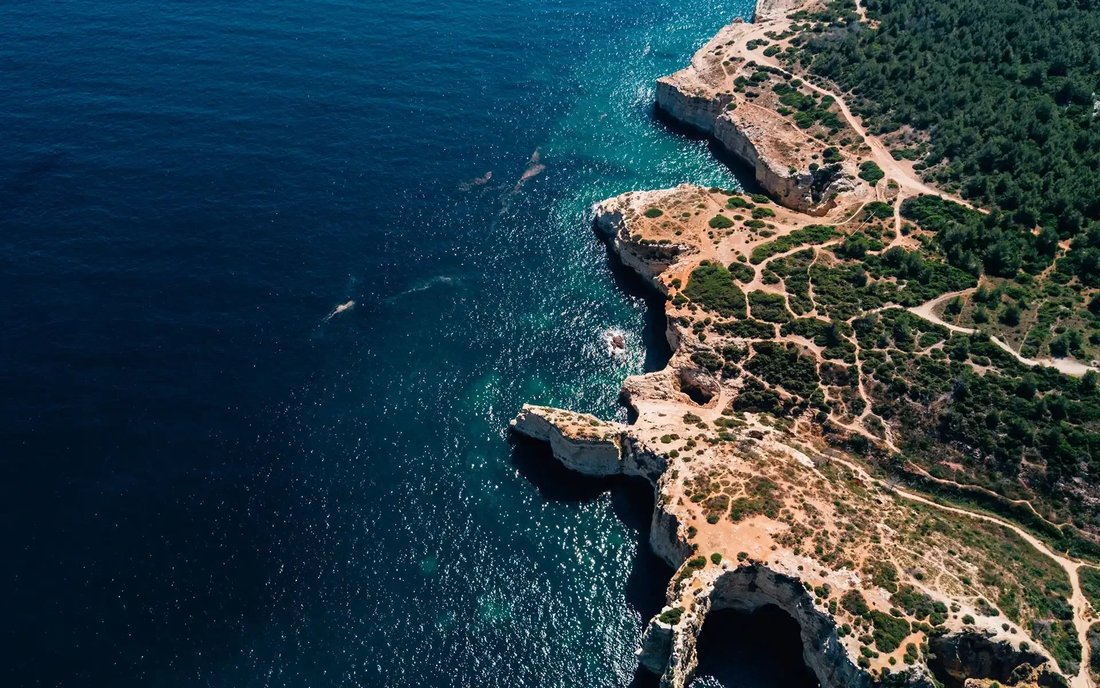 Villa in Sant Joan de Labritja, Balearic Islands, Spain 5 - 16480533