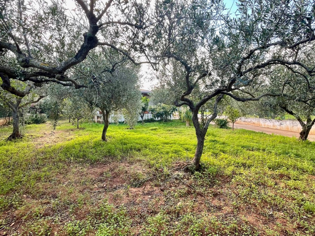 Villa in Castellammare del Golfo, Sicily, Italy 5 - 16482654