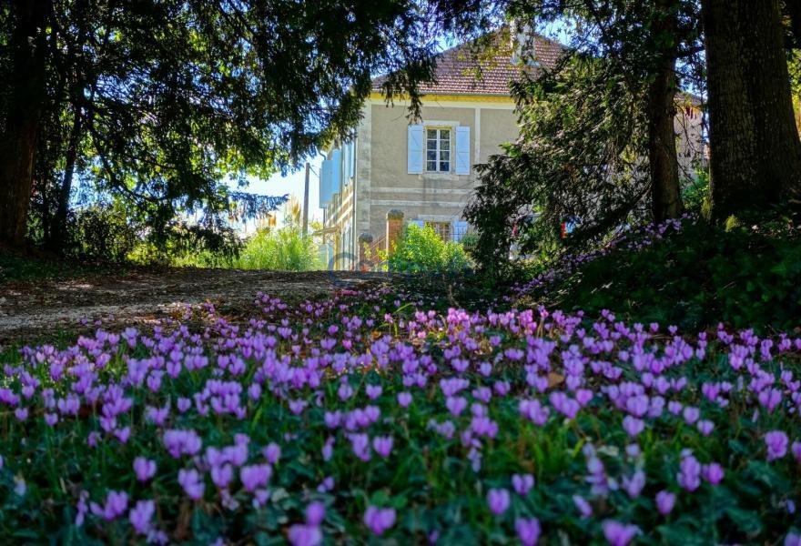 House in Vic-Fezensac, Occitania, France 2 - 16480245