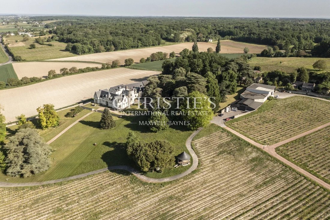 Farm Ranch in Centre Ville - Fenet - Petit Puy, Saumur, France 2 - 16479233