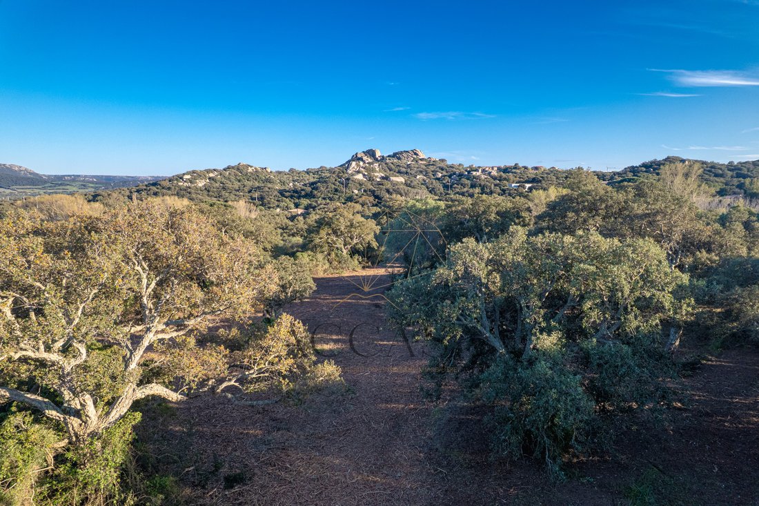 Land in Pianottoli-Caldarello, Corsica, France 3 - 16479857