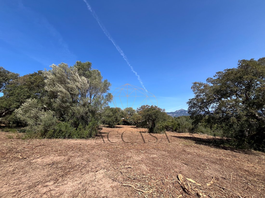 Land in Pianottoli-Caldarello, Corsica, France 4 - 16479857