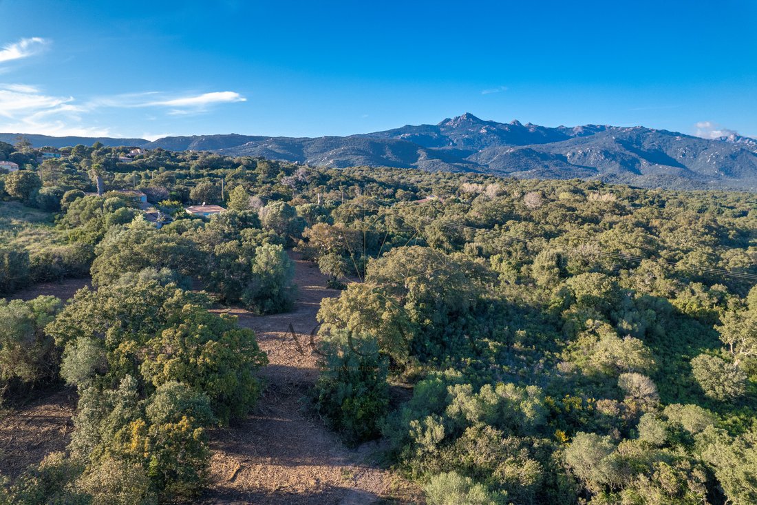 Land in Pianottoli-Caldarello, Corsica, France 1 - 16479857