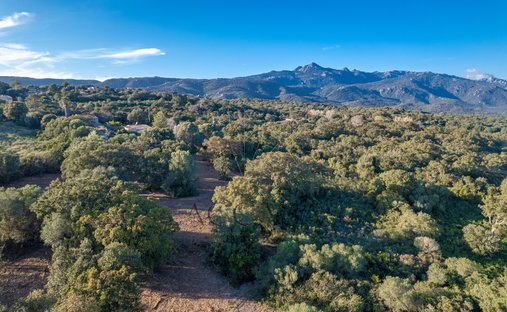 Land in Pianottoli-Caldarello, Corsica, France 1
