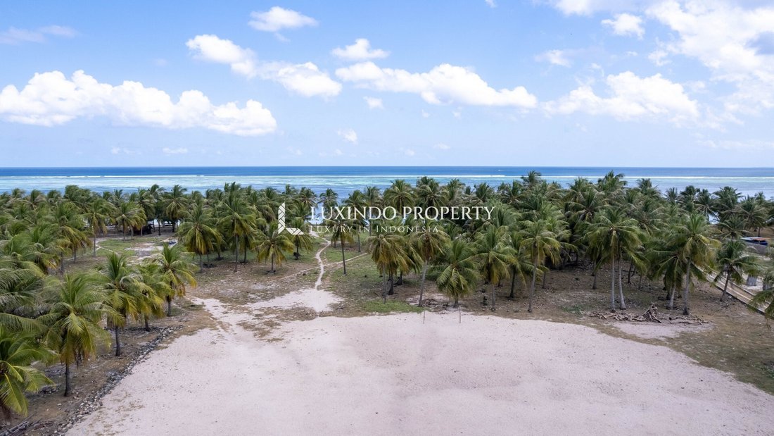 Land in Rote Barat, East Nusa Tenggara, Indonesia 5 - 16483212