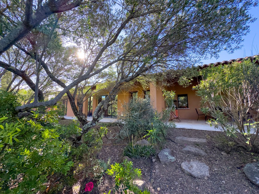 Villa in Figari, Corsica, France 5 - 16479935