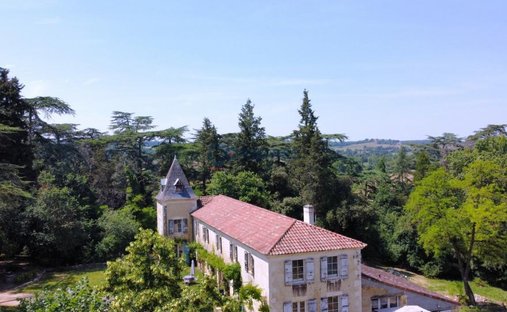 Château Vic Fezensac 503.14 Sqm 9 Rooms