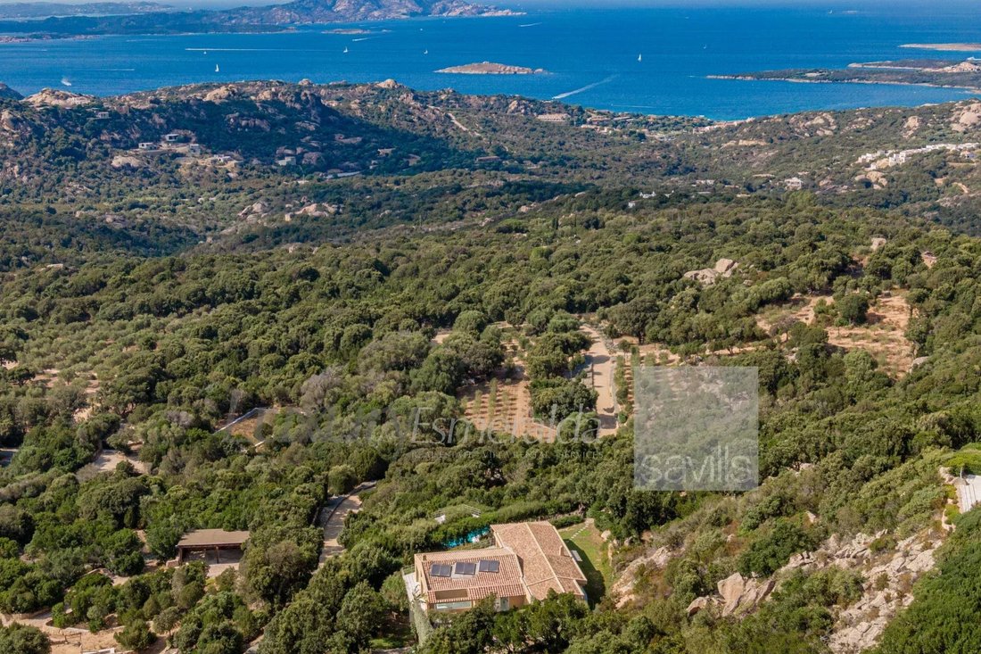 Villa in Liscia di Vacca, Arzachena, Italy 2 - 16479128