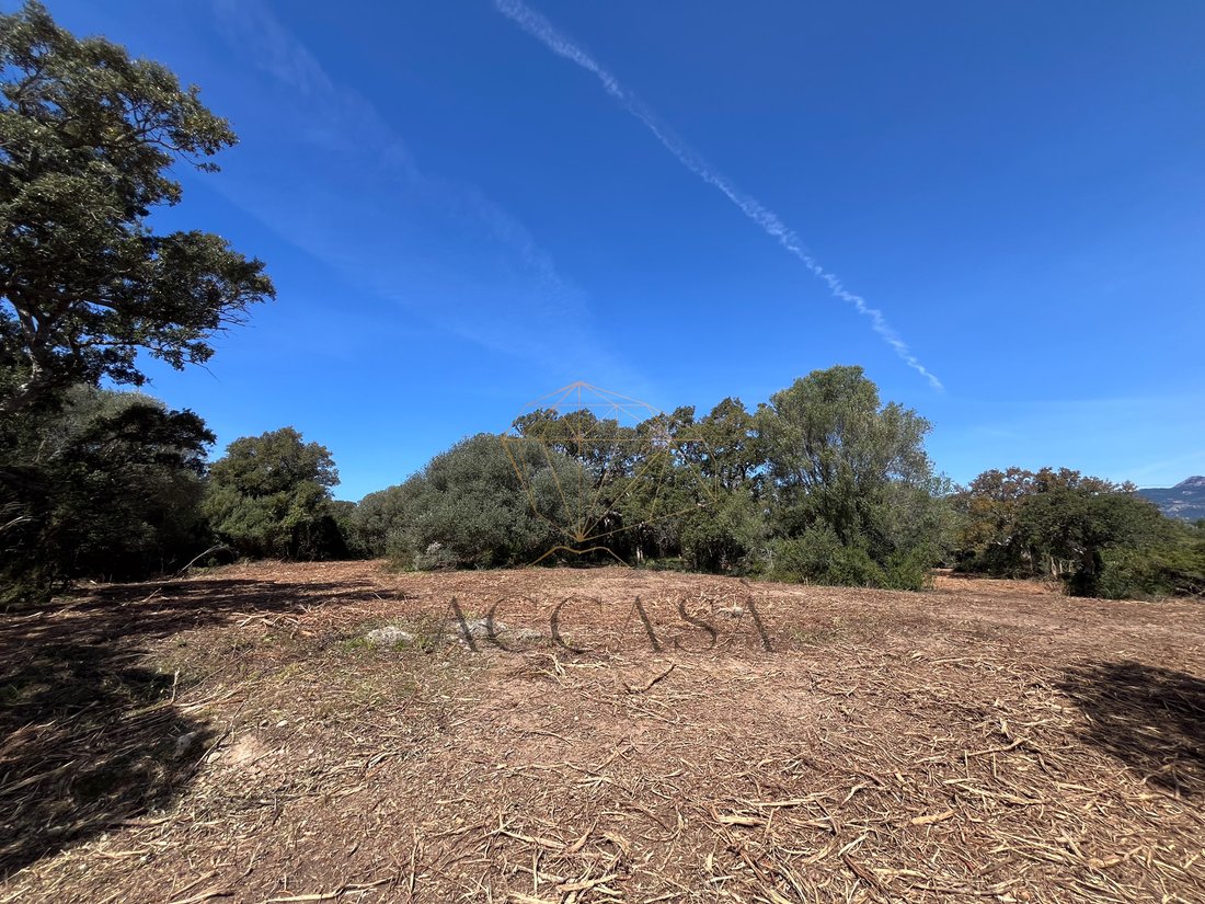 Land in Pianottoli-Caldarello, Corsica, France 5 - 16479857