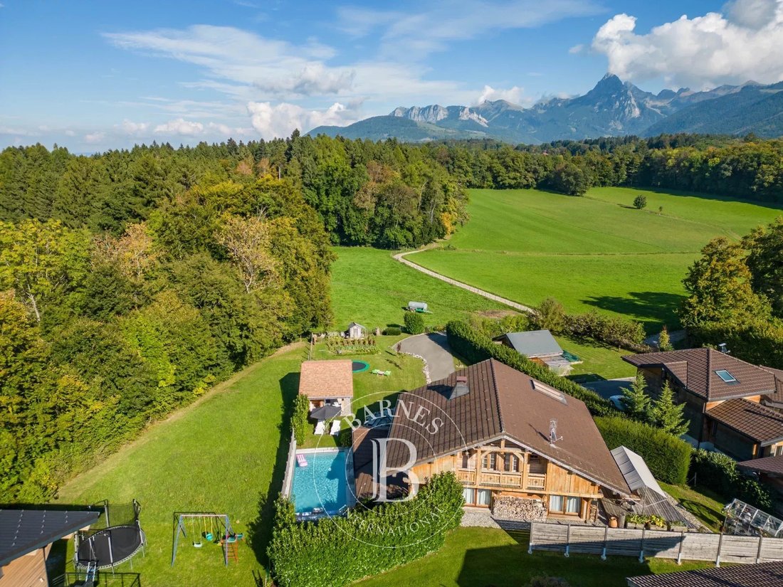 Chalet in Vinzier, Auvergne-Rhône-Alpes, France 3 - 16480268