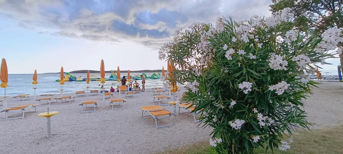 Villa in Fazana, Istria County, Croatia 3 - 16482687