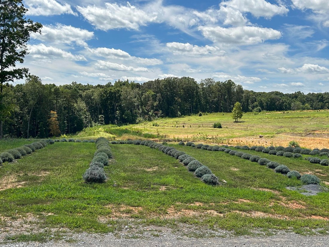 Farm Ranch in Athens, Tennessee, United States 4 - 16480829