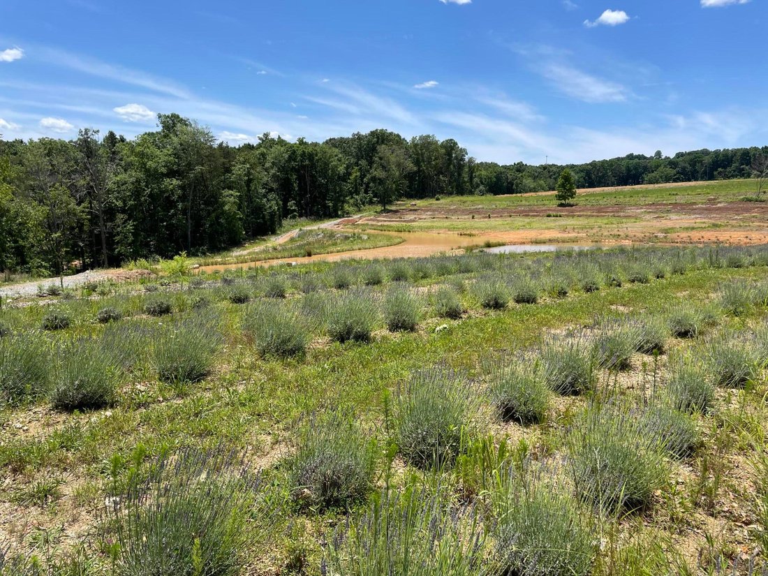 Farm Ranch in Athens, Tennessee, United States 1 - 16480829