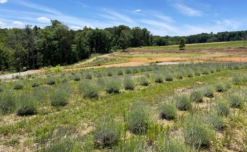 Farm Ranch in Athens, Tennessee, United States 1