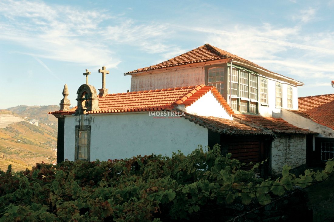 Farm Ranch in Vilarinho dos Freires, Vila Real District, Portugal 2 - 16480076