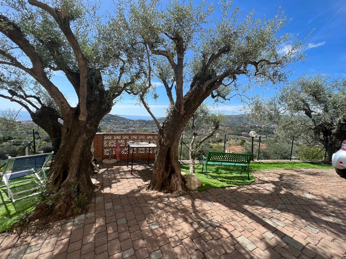 Villa in Oneglia, Imperia, Liguria 4 - 16480710