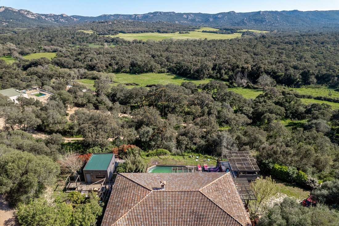 House in Sotta, Corsica, France 2 - 16479631