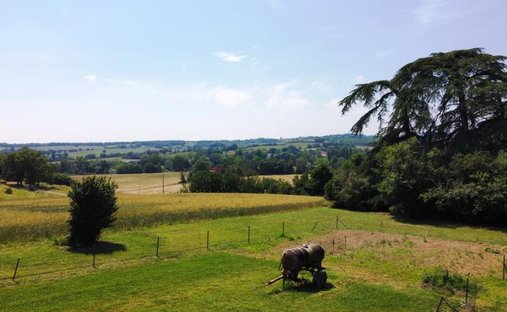 Château Vic Fezensac 503.14 Sqm 9 Rooms