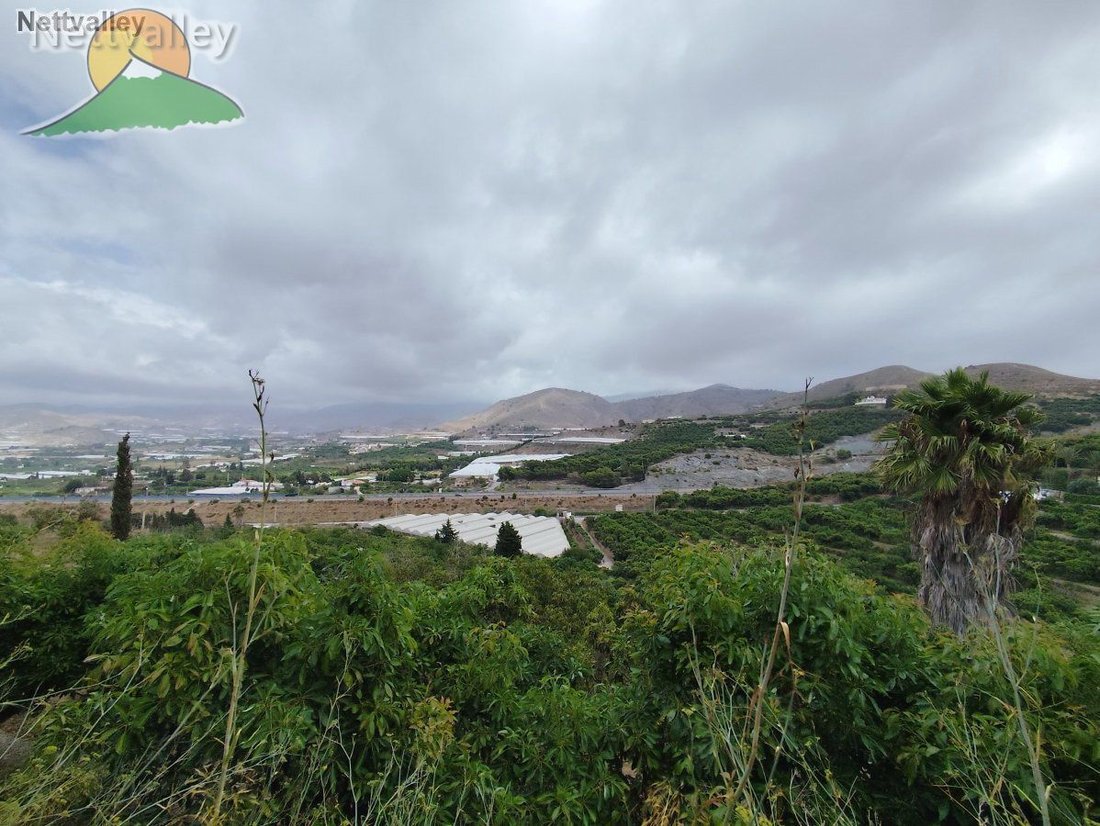 Country House in Motril, Andalusia, Spain 5 - 16481046