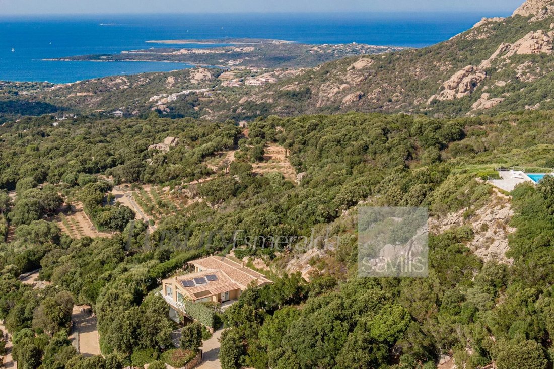 Villa in Liscia di Vacca, Arzachena, Italy 4 - 16479128