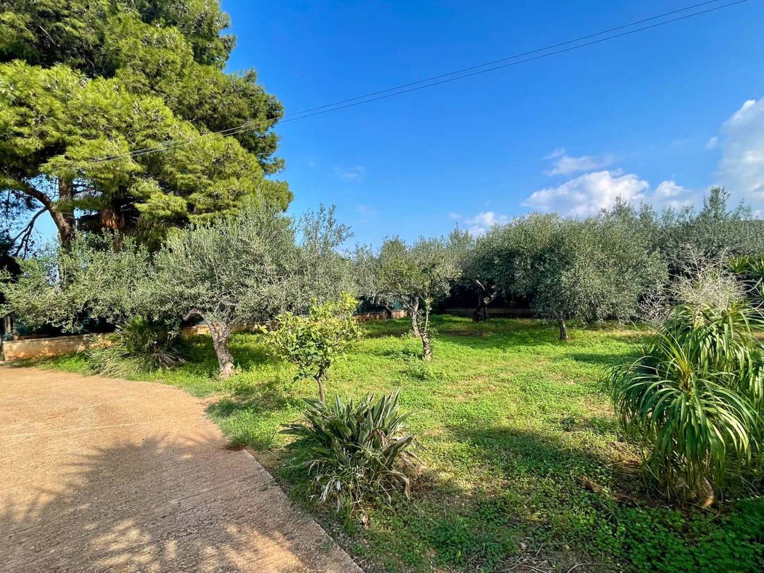 Villa in Castellammare del Golfo, Sicily, Italy 3 - 16482654